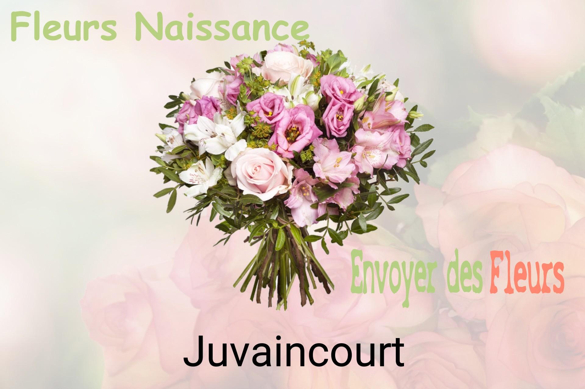 Bouquet de fleurs de naissance livré à Juvaincourt